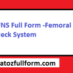 FNS Full Form