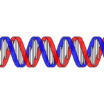 full form of RNA