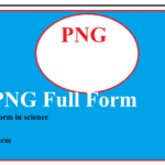 png full form