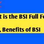 BSI full form in Hindi